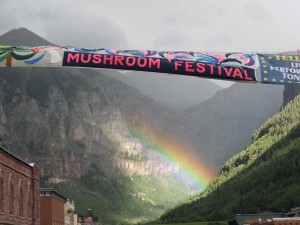 Telluride Mushroom Festival banner