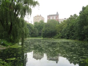 Central Park Pool
