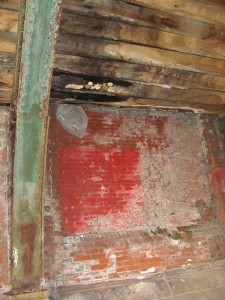 lenzites betulina on ceiling beam