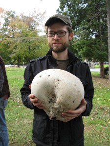Giant Puffball, Woodlawn Cemetery