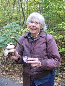 Blewits (Clitocybe nuda) held by Gretchen