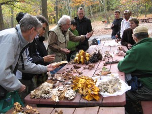 NYMS Clove Lakes Park mushroom display