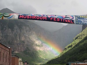 Telluride banner