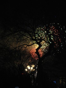 New Year's Eve in Central Park